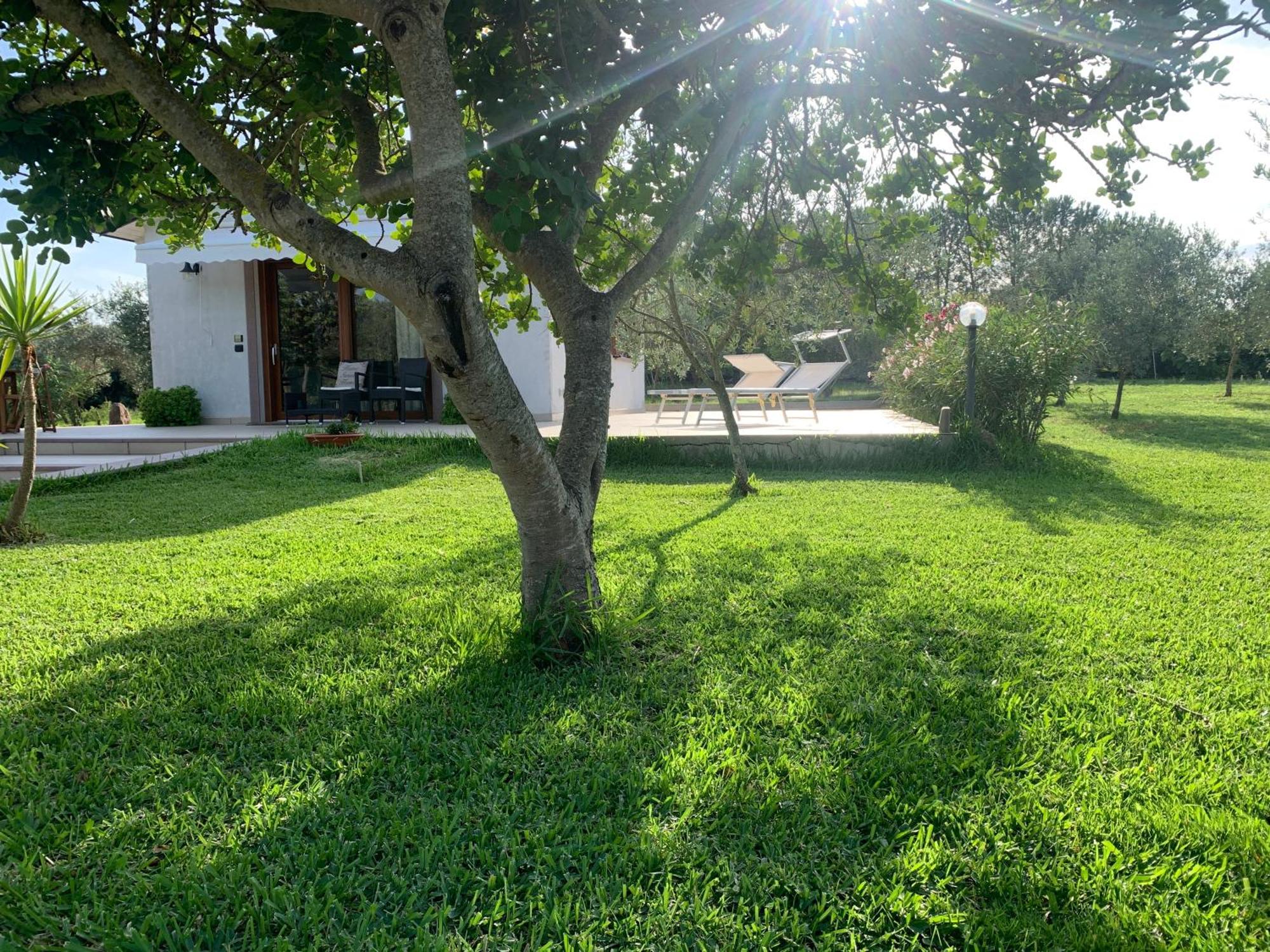 La Casetta Holiday Home Alghero Eksteriør billede